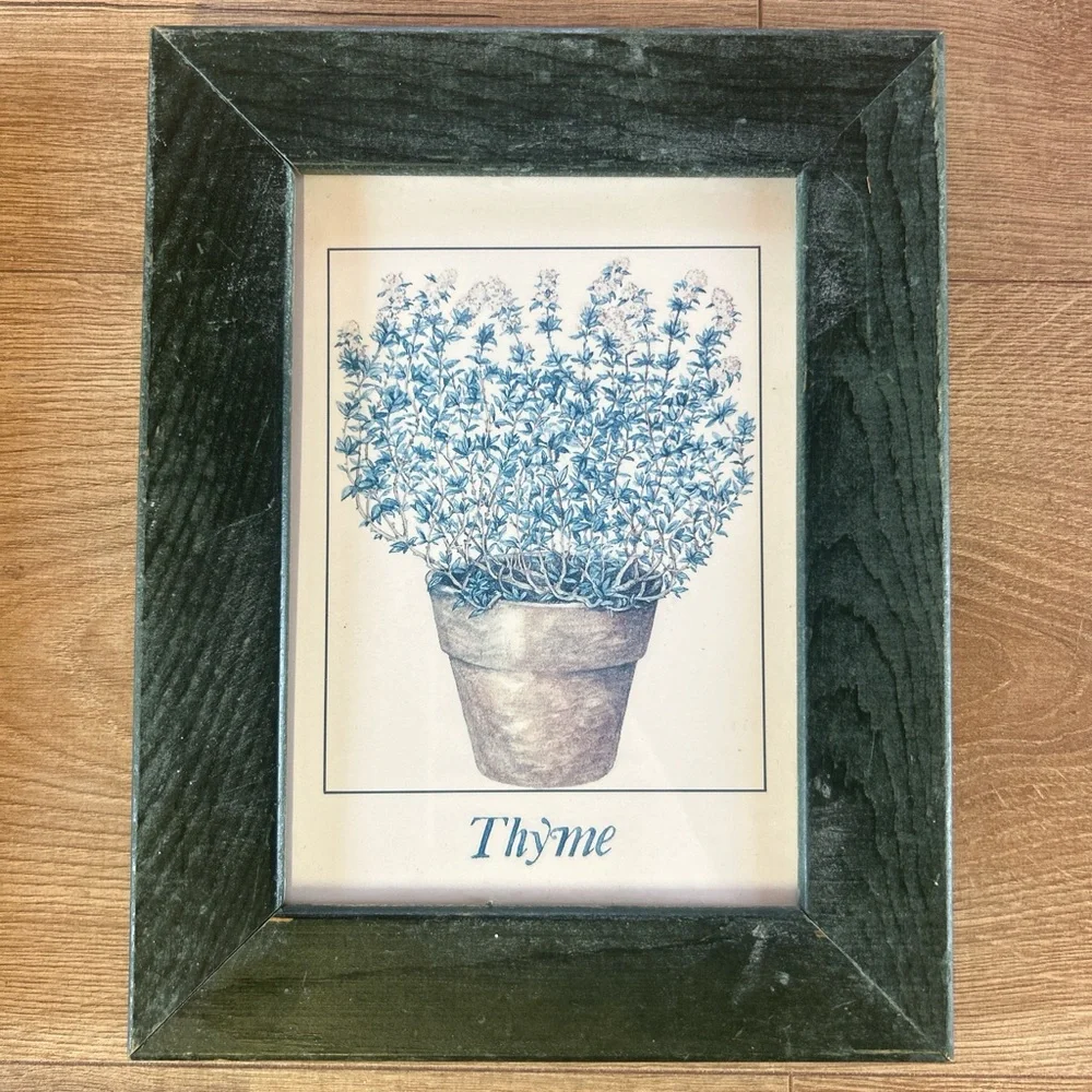 Unbranded Set of 3 Black Framed Herb Prints (Basil, Thyme,‎ Oregano)